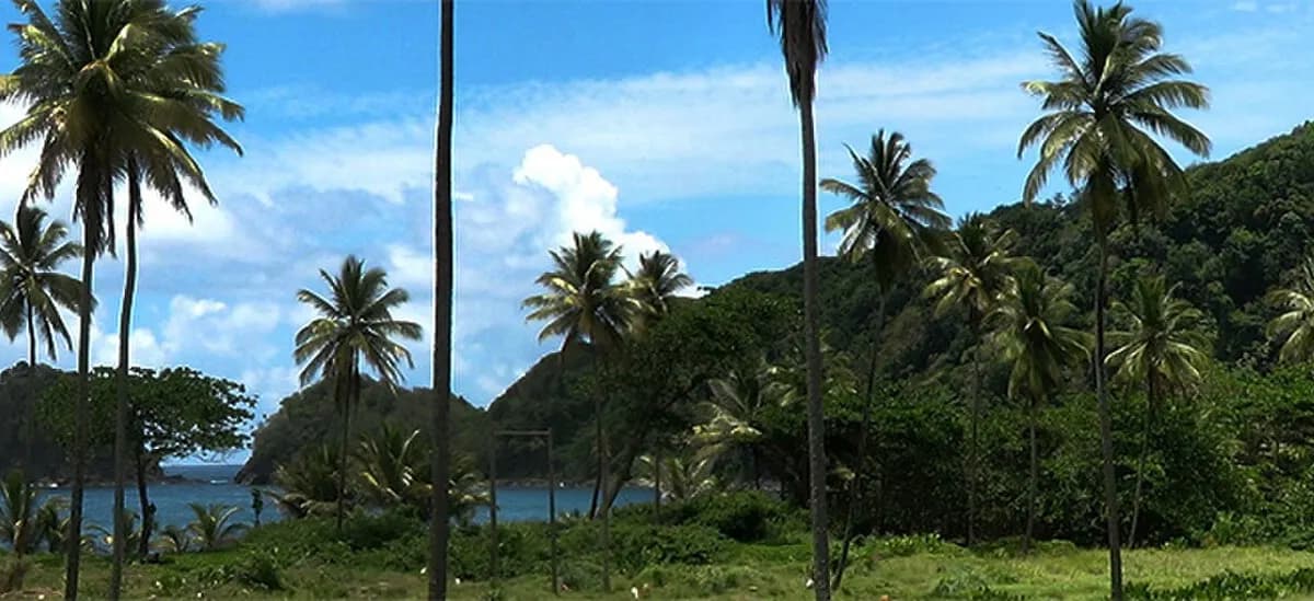 Доминика: Dominica banner