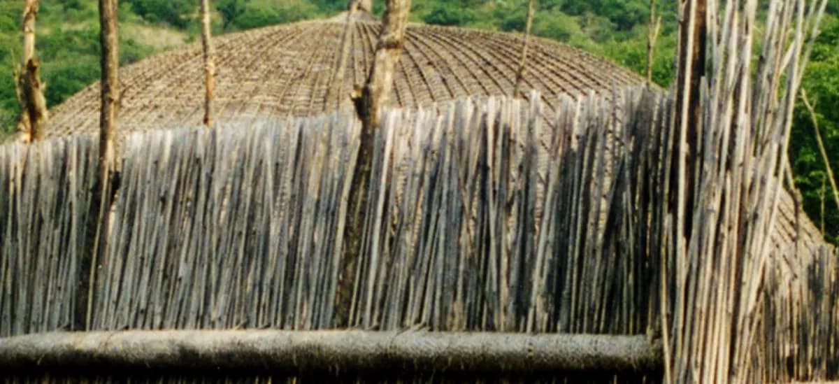 Эсватини: Eswatini banner Traditional houses