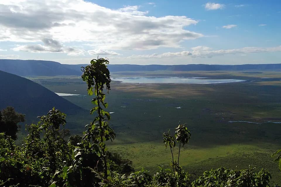 Tanzania