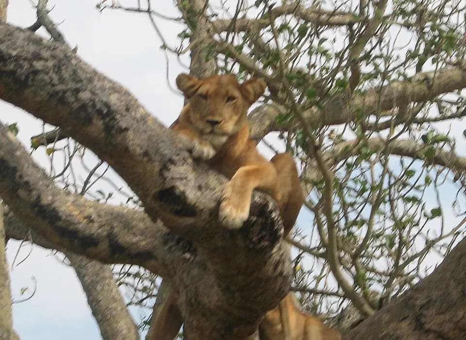 Uganda