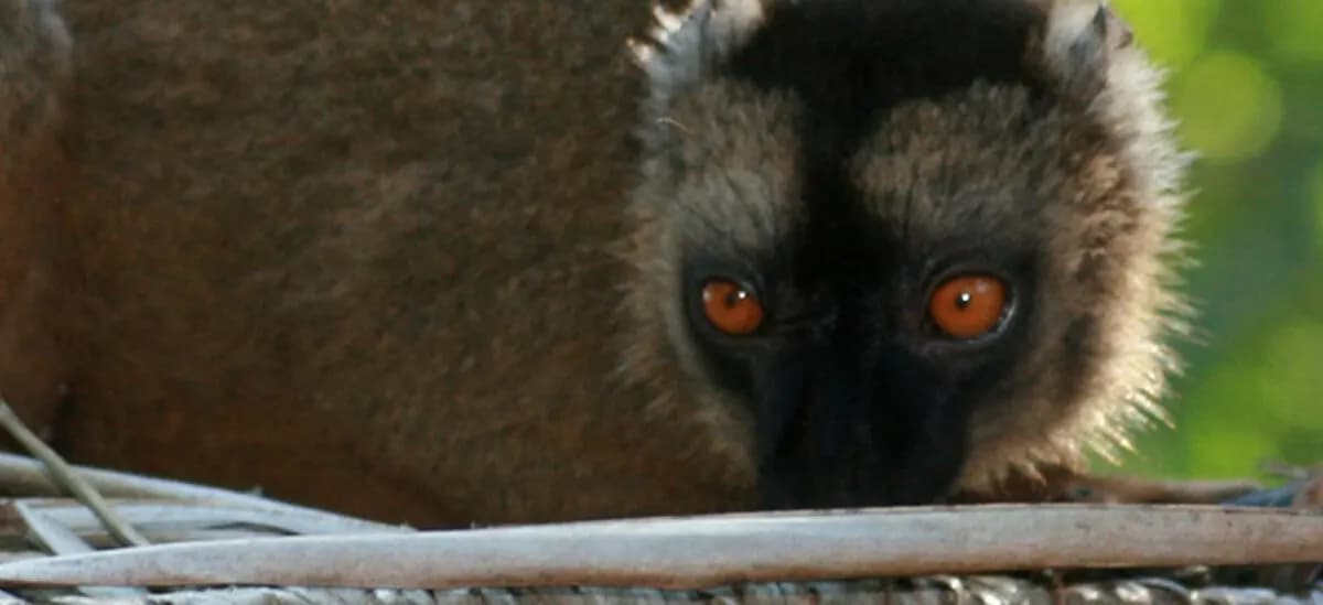 Mayotte