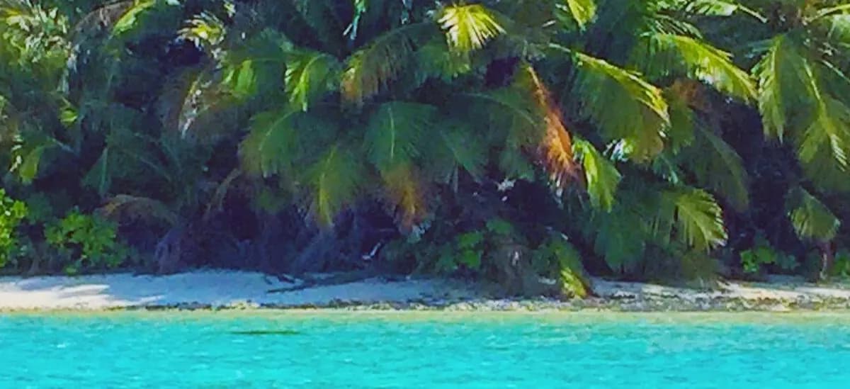Кокосовые (Килинг) острова: Pulau Cocos banner 6