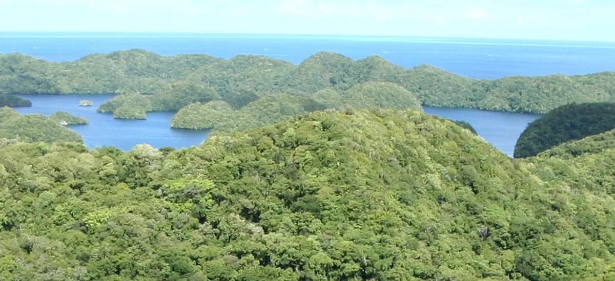 Palau