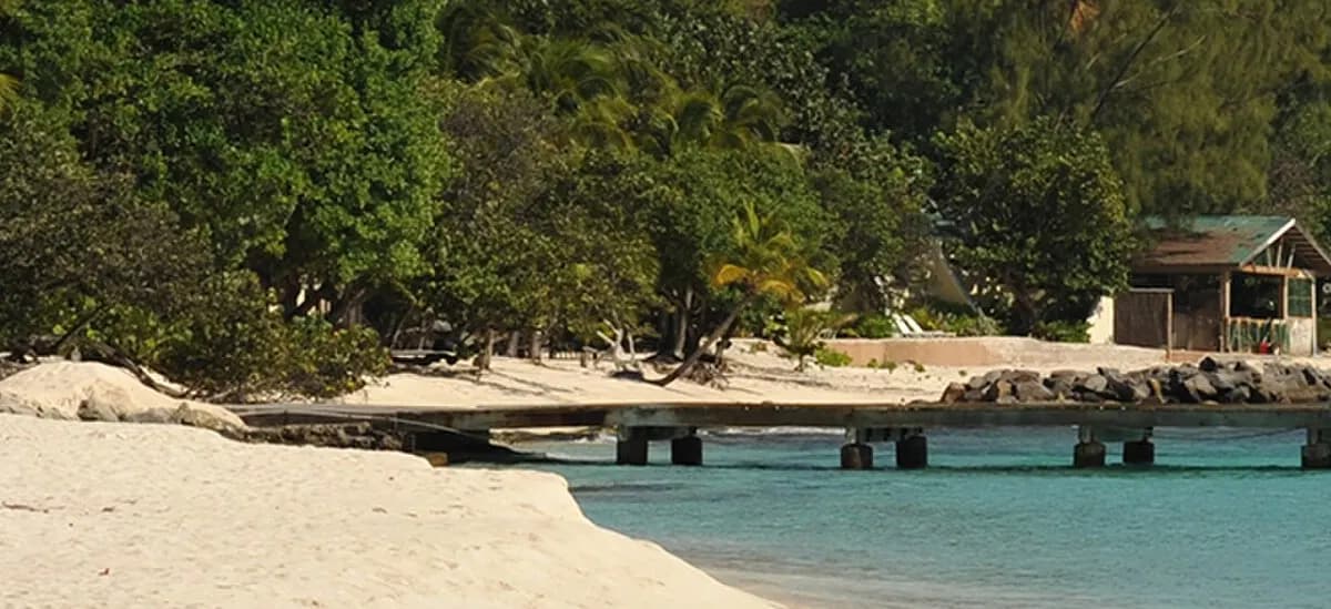 Сент-Винсент и Гренадины: Palm Island, Saint Vincent and The Grenadines